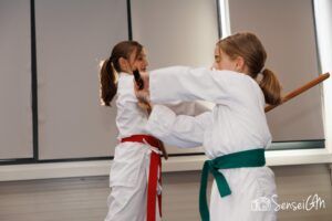 pedagogia aikidoului